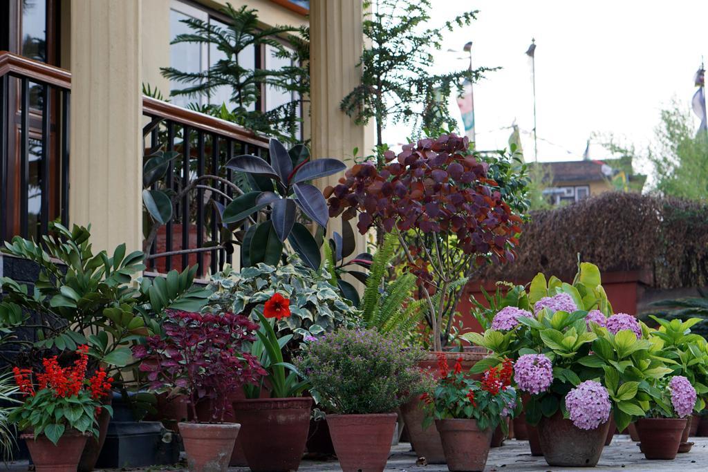 Swayambhu View Guest House Katmandu Zewnętrze zdjęcie